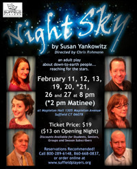 Night Sky by Susan Yankowitz
