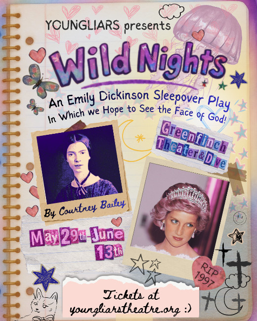 Wild Nights show poster