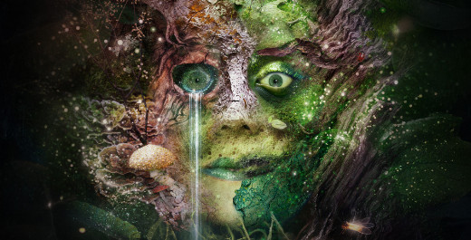 Bog Witch