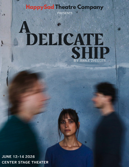 A Delicate Ship show poster