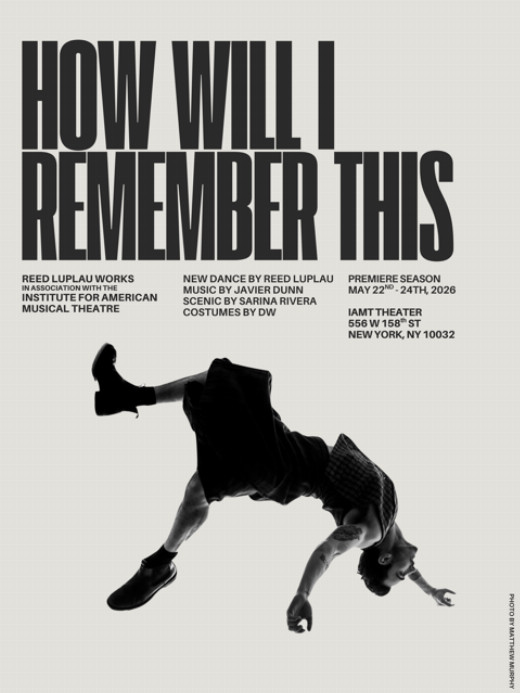How Will I Remember This show poster