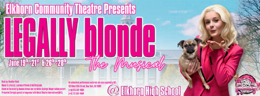 Legally Blonde The Musical show poster