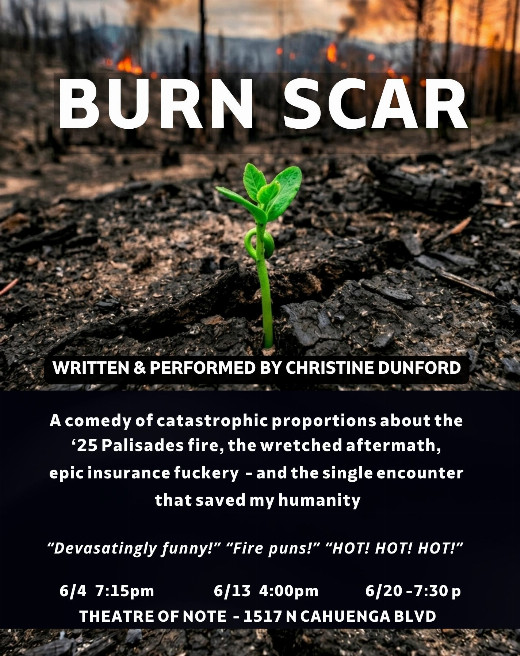 BURN SCAR
