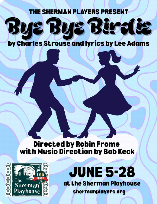 Bye Bye Birdie show poster