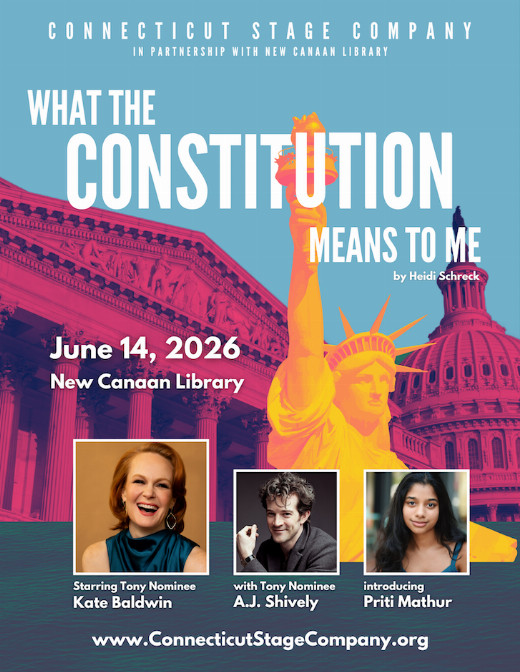 What the Constitution Means to Me show poster