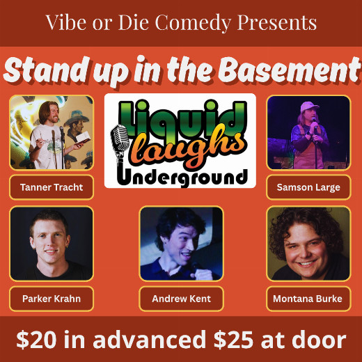 Stand Up in the Basement in Boise
