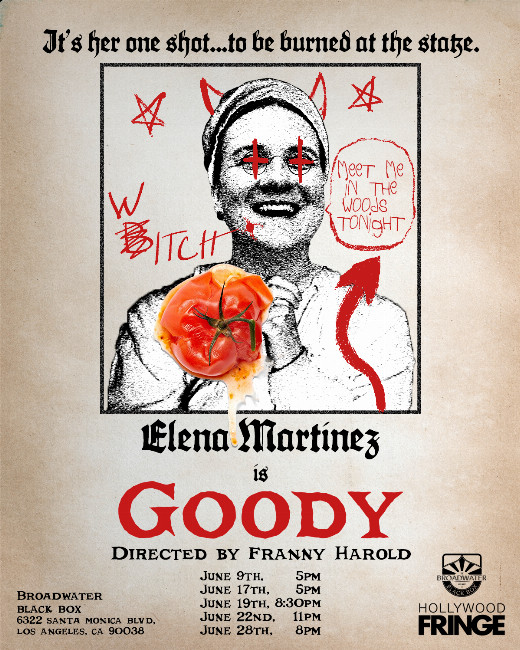 Goody show poster