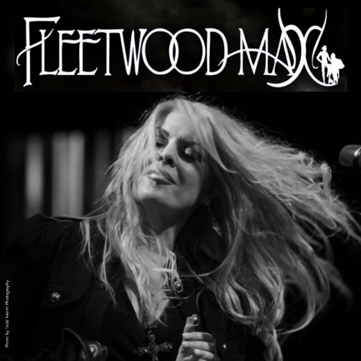 Fleetwood Max in Chicago