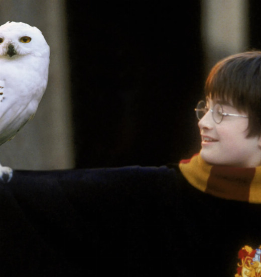 Harry Potter and the Philosopher’s Stone™ In Concert (PG)