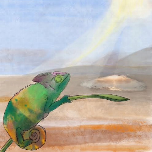 chameleon; mirage