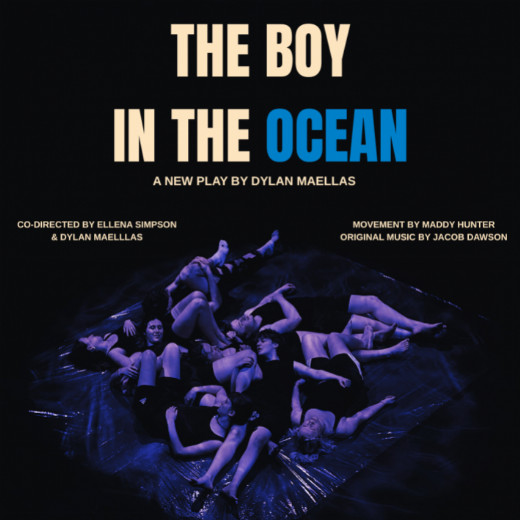 The Boy in the Ocean show poster