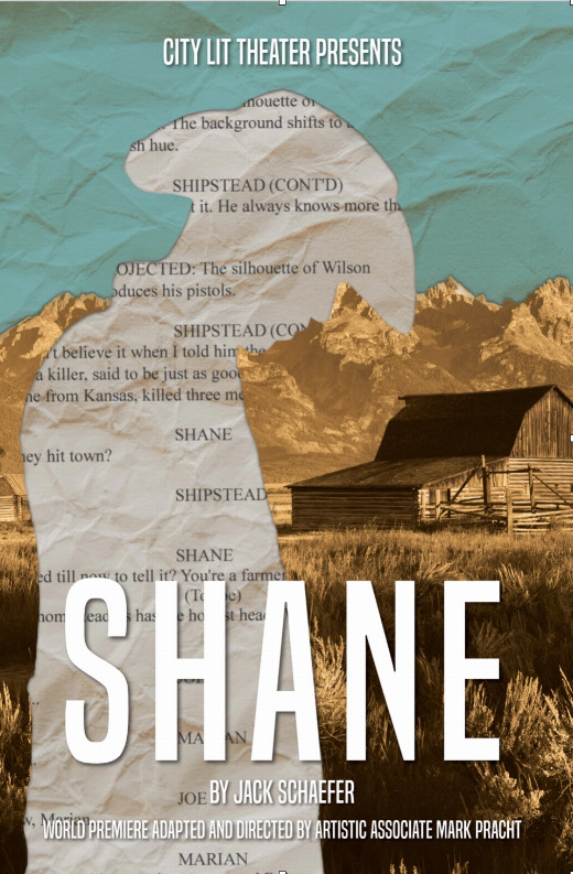 Shane in Chicago