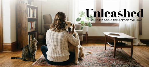 Unleashed: True Stories About the Animals We Love in Los Angeles