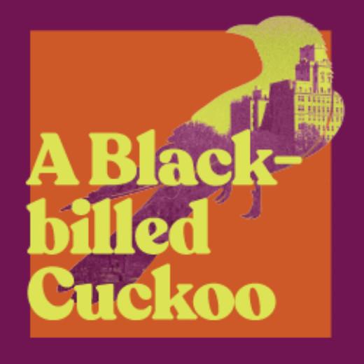 A Black-billed Cuckoo in San Diego