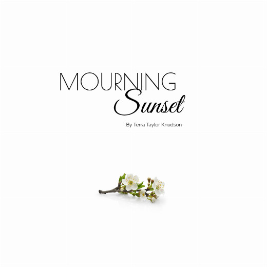 Mourning Sunset in Palm Springs