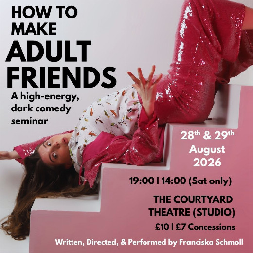 How To Make Adult Friends show poster