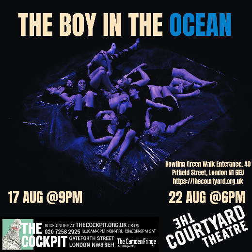 The Boy in the Ocean show poster