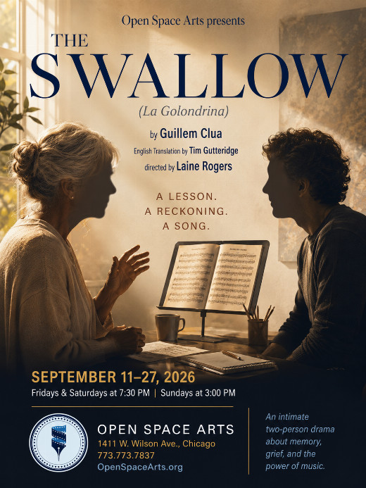 The Swallow in Chicago
