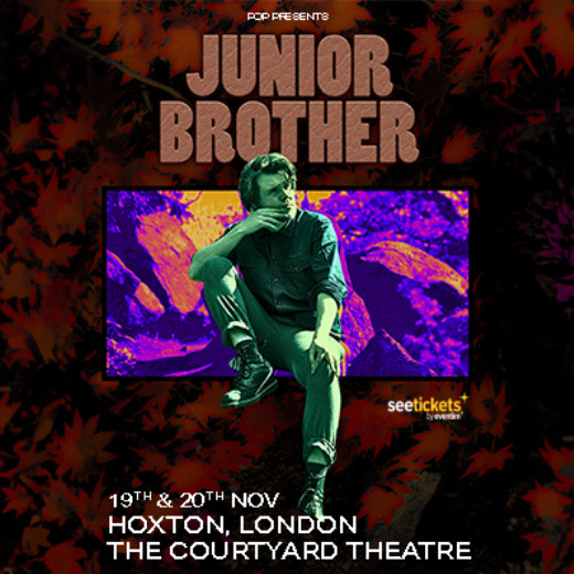 Junior Brother  show poster