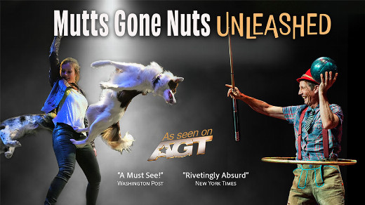 Mutts Gone Nuts - Unleashed in Kansas City