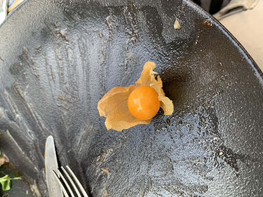 A Goldenberry Cage