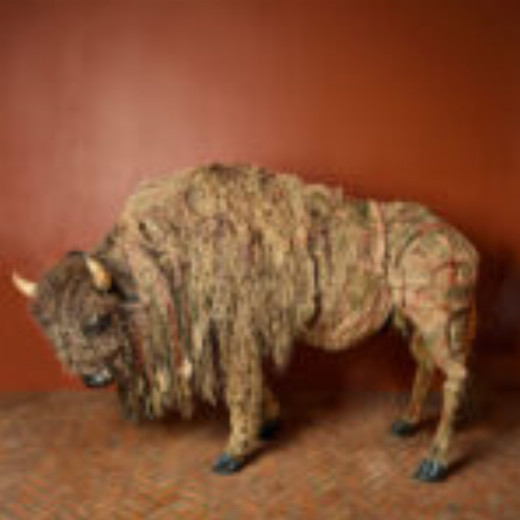 Return of the Buffalo: Tatanka Owe Akupi in Brooklyn