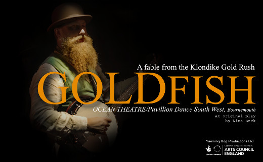 GOLDFISH show poster