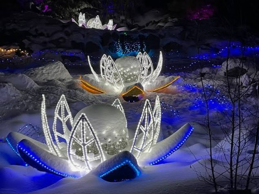 Winter Lights & Voices: A Holiday Celebration in Delaware in Delaware
