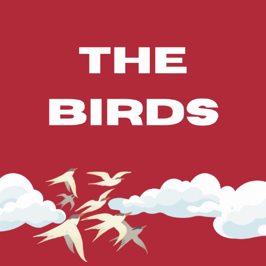THE BIRDS show poster
