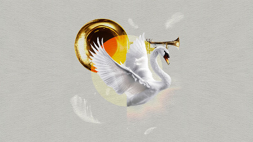 The Trumpet of the Swan