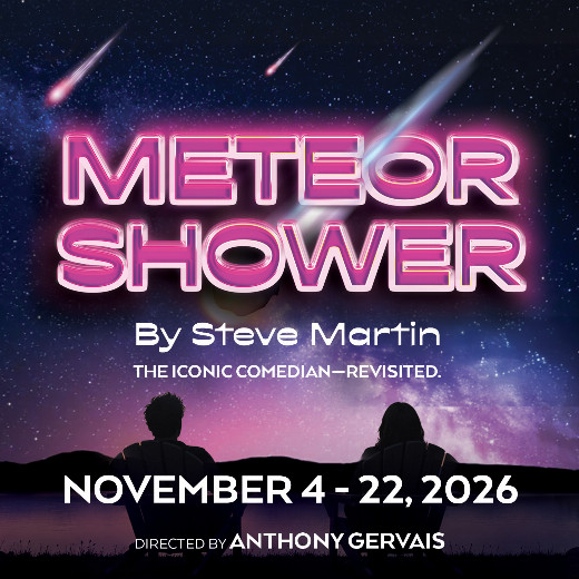 Meteor Shower in Tampa