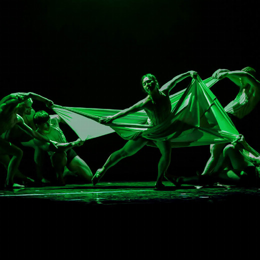 Pilobolus show poster