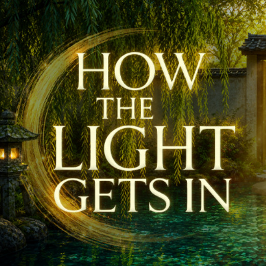 How the Light Gets In show poster