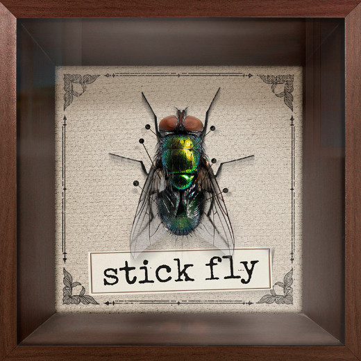 Stick Fly in South Carolina