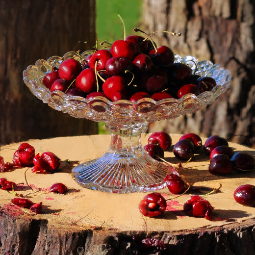 The Cherry Orchard in Houston