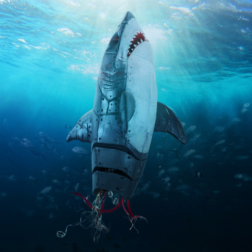 The Shark is Broken in Houston