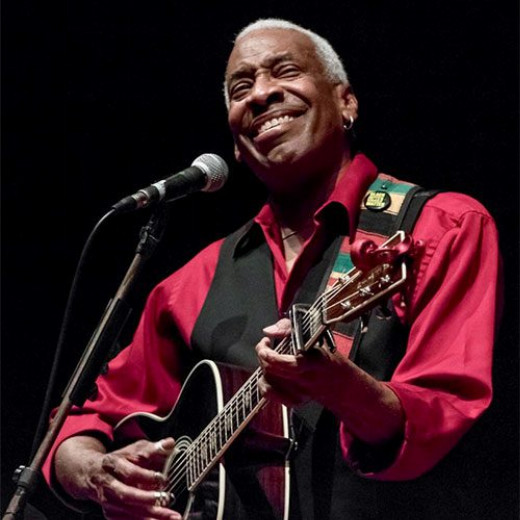 Reggie Harris performs at Harmony on the Green in Boston