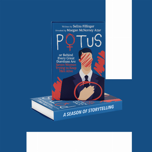 POTUS (or, Behind Every Great Dumbass are Seven Women Trying to Keep Him Alive show poster