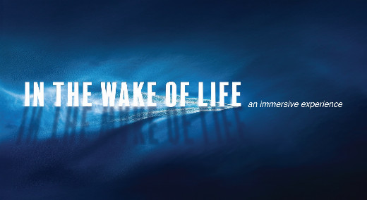 In the Wake of Life in Sarasota