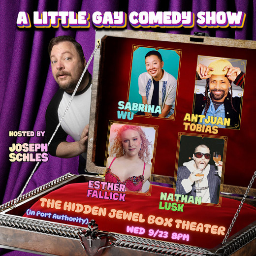 A Little Gay Comedy Show