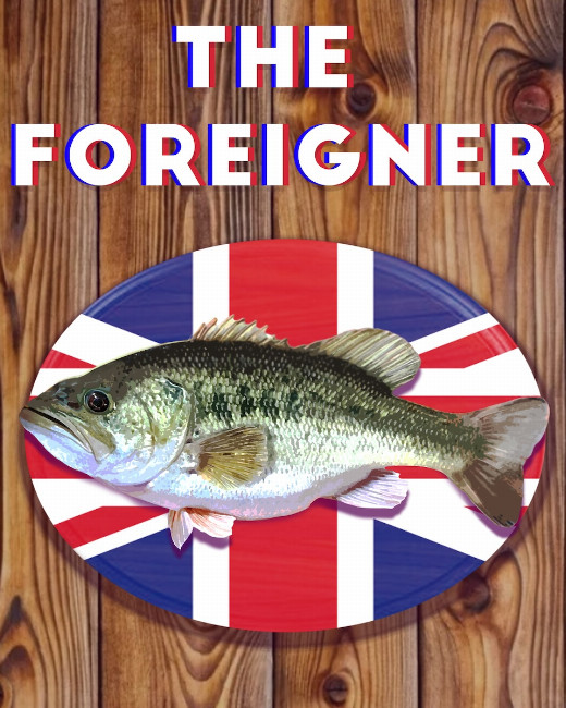 The Foreigner in Chicago