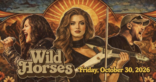 Wild Horses in St. Louis