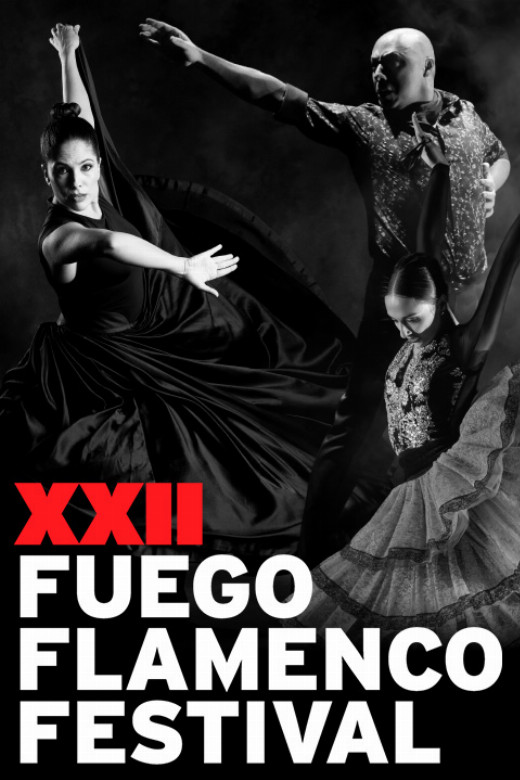 XXII FUEGO FLAMENCO FESTIVAL
