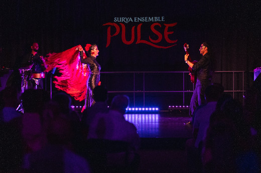 PULSE by Surya Ensemble
