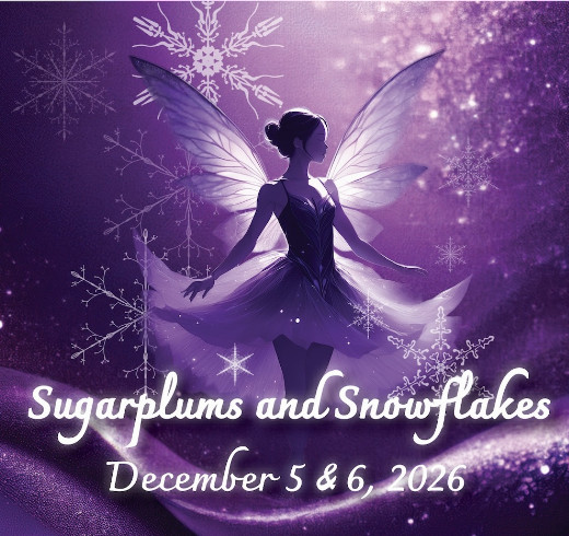The Lone Tree Symphony Orchestra - “Sugarplums and Snowflakes” in Colorado