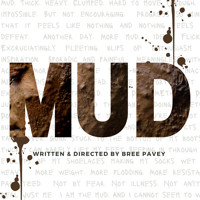 Mud show poster