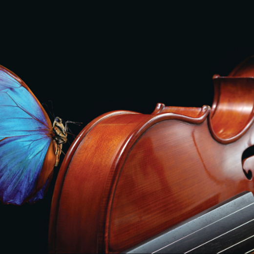 Stony Brook Symphony Orchestra