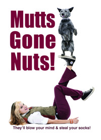 Mutts Gone Nuts!