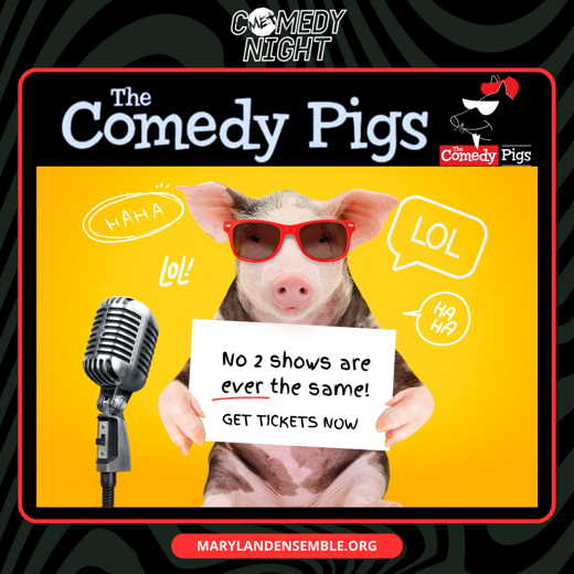 MET Comedy Night: The Comedy Pigs