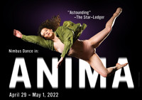 Nimbus Dance in: ANIMA show poster